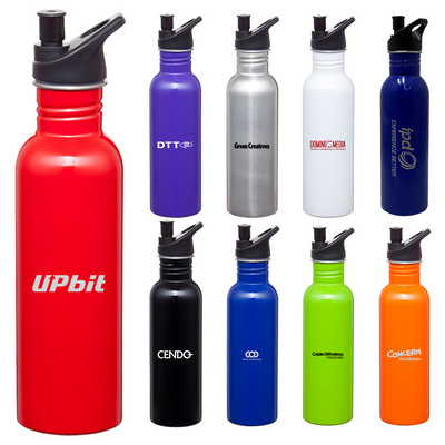 Carnival SSteel Drink Bottle (D534_PB)