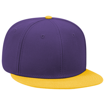 "OTTO SNAP" Six Panel Pro Style Cap