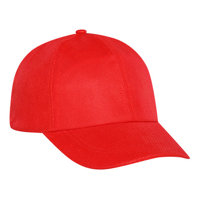 Six Panel Low Profile Style Cap