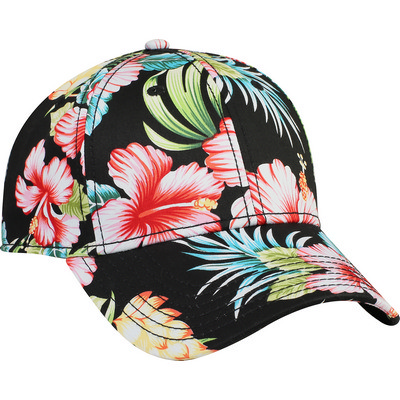 Six Panel Low Profile Style Cap