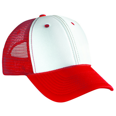 Six Panel Low Profile Mesh Back Cap