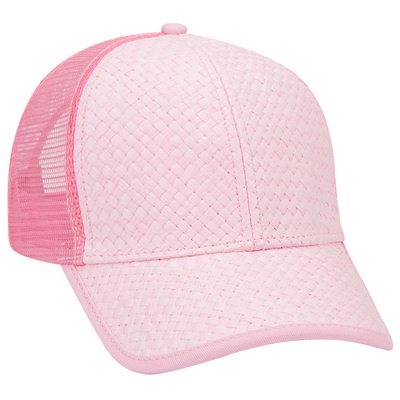 Six Panel Low Profile Mesh Back Cap