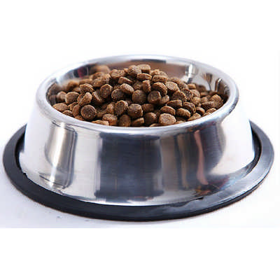 Stainless Dog Bowl