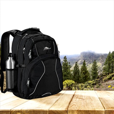 High Sierra Swerve 17 inch Computer Backpack (HS1001_RNG_DEC)