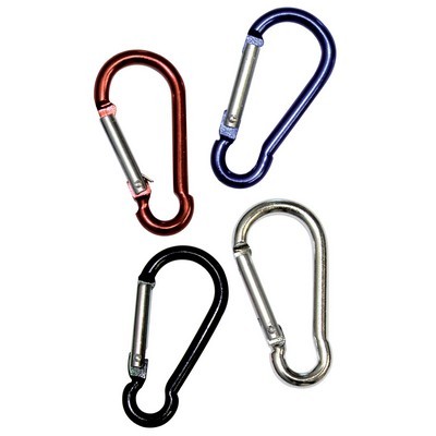 Carabiner key ring 