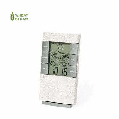 Weather Station - Maginly