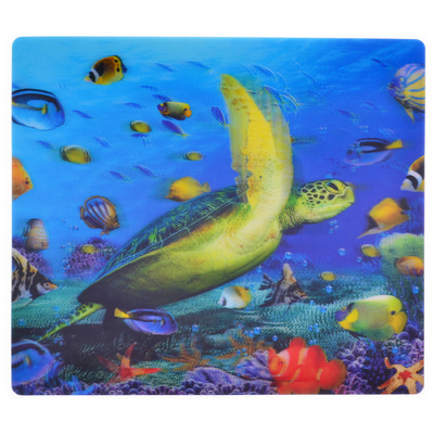 Hologram Mouse Mat (PCM15_PCZ)