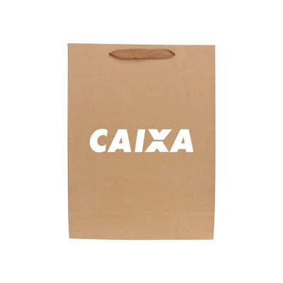 Large Vertical Kraft Paper Bag With Fabric Flat Handle(300 x 400 x 110mm)