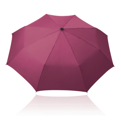 Umbrella 55cm Folding Shelta
