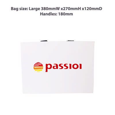 Large Paper Bag with Thread Flat Handle(380 x 270 