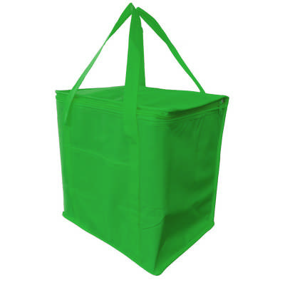20 Litre Non Woven Cooler Bag - Green