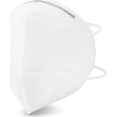 Budget Tga N95 Safety Face Mask (PSFM04STD_PS)